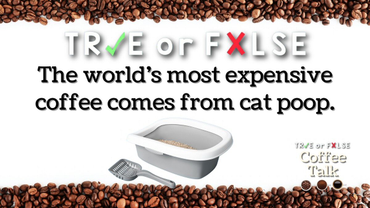 TRUE or FALSE: Coffee Talk image number null